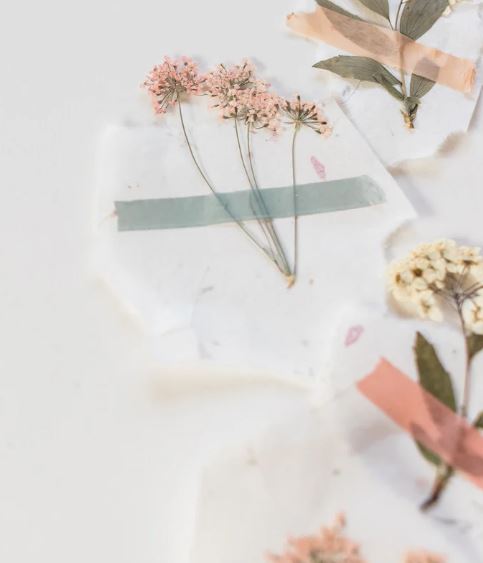 how to dry flowers inside books