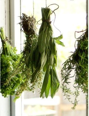 nature inspired crafts herb drying