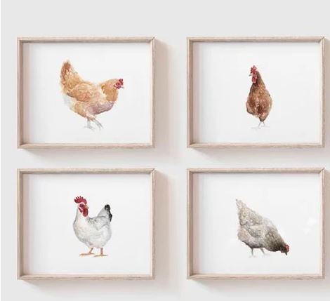 Chicken Art Print Set