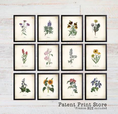 Botanical Print Set