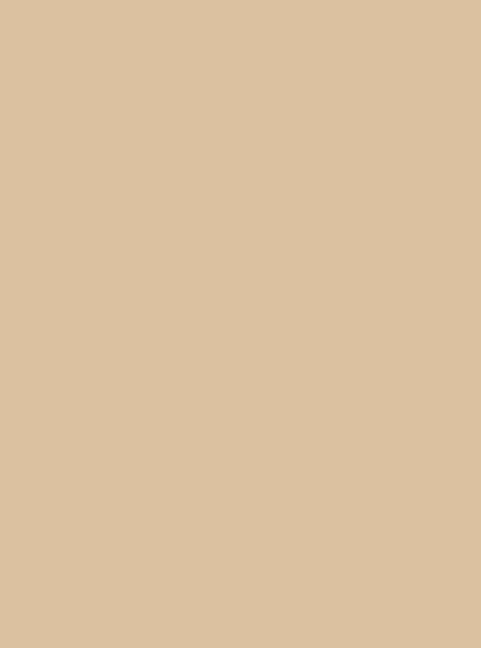 Antique Gold | Hex #D3C0A0