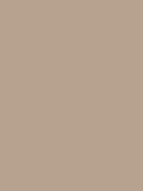 Driftwood | Hex #B0A18F
