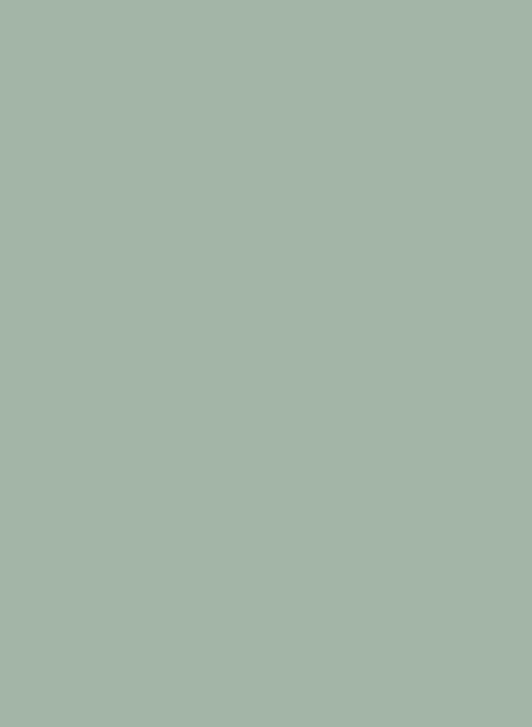 Mossy Green | Hex #A7B3A6