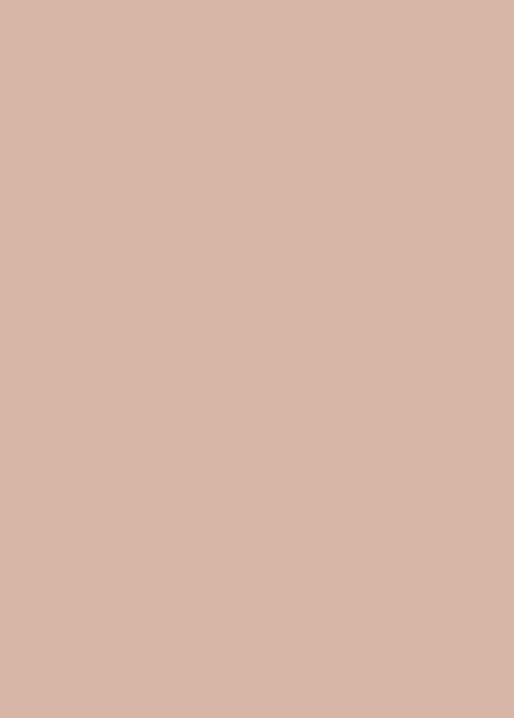 Soft Coral | Hex #CDB5A7