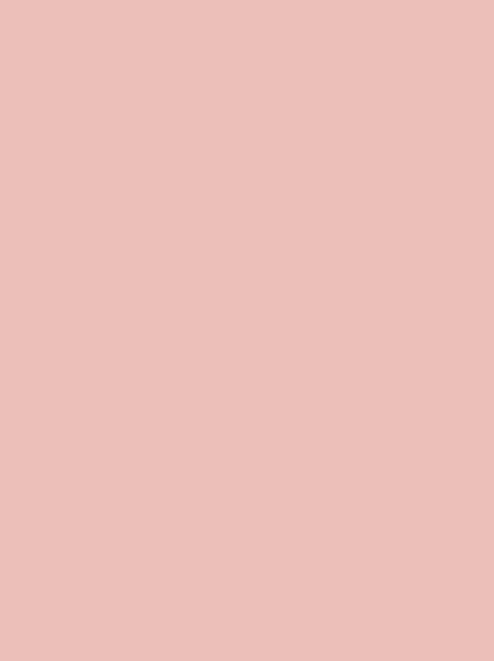 Tea Rose | Hex #E0BFB8