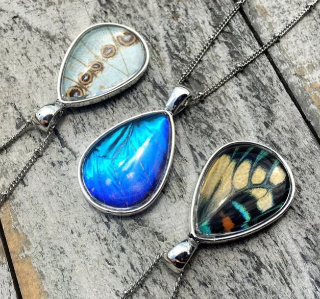 Butterfly Wing Jewelry