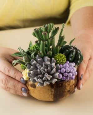 Polymer Clay Succulents