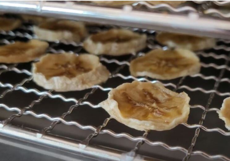 Food Dehydrator