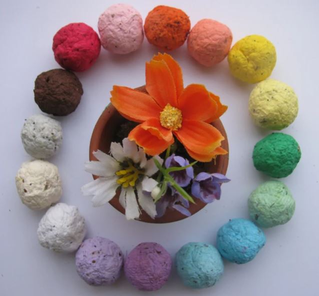 Seed Bombs for the Garden